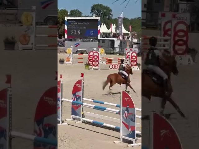 Ruin Franse rijpony PFS Te koop 2015 Vos