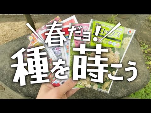 花の種を蒔くのに適した時期はいつですか?ヒックエヌンクは5種スタート！  庭園