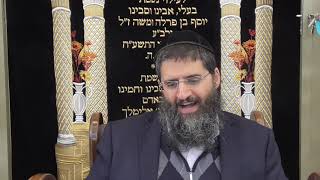 הלכות שבת(בורר)-סימן שיט-סעיף י'-בדין האם אומרים שרייתו זהו כיבוסו בבגד נקי(שיעור ב') - חלק א'
