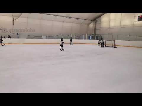 Haukat Oranssi vs Kiekko Espoo Blues blue