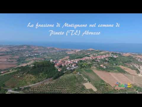 #Mutignano 2016 Contat.eu