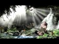 VideoHelper music - Hidden Rainforest (Thomas ...