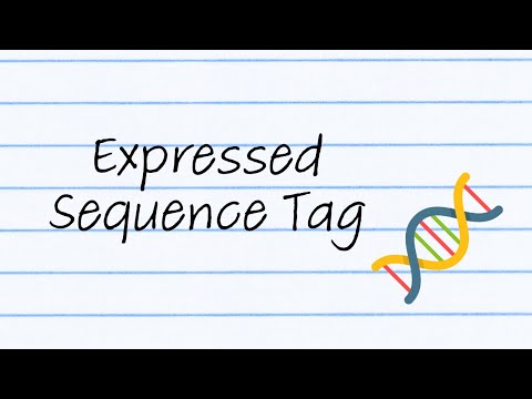 Alfa Tag Sequence
