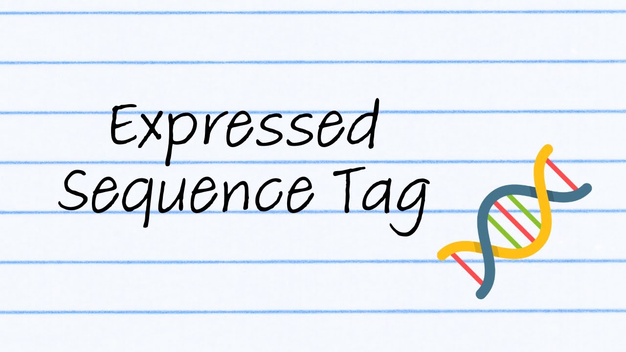 Expressed Sequence Tags | Sci Bagels Edu-Vid