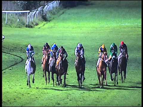 Galoppo 09/03/2016 - 6° corsa  TRIS