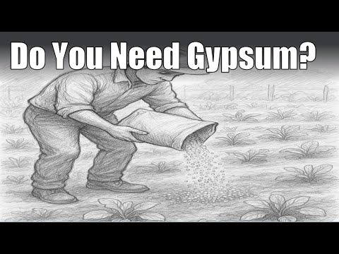 Rethink Gypsum: Is It Really Necessary for Your Soil?