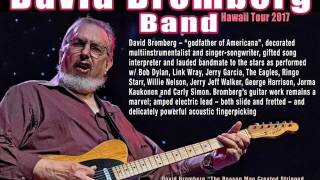 David Bromberg complete 2017 interview