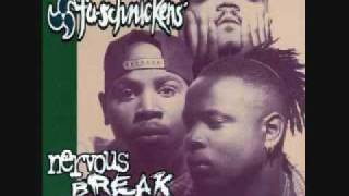 FU SCHNICKENS / VISIONS (20-20)