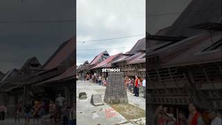 Download lagu Tradisi Unik Suku Nias #shorts mp3