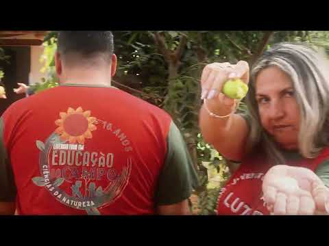 Povoado de Taquaral em Orizona.
