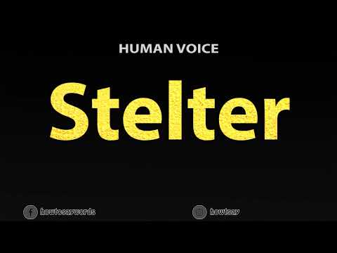 How To Pronounce Stelter