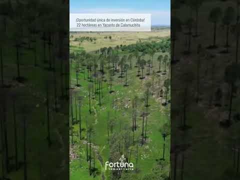 INV0055: 🌄 ¡Descubrí un rincón único en Yacanto de Calamuchita!