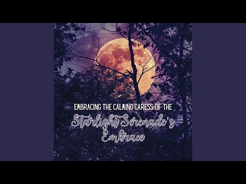 Embracing the Calming Caress of the Starlight Serenade's Embrace