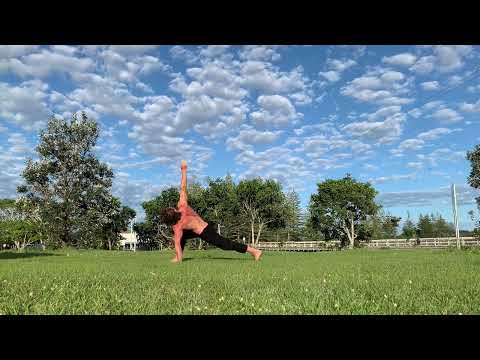 RINSE: mobility follow along