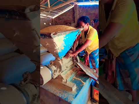 Solar powered rice huller and polisher#shorts #short#shortvideo #trendingshorts #viralshorts#nur