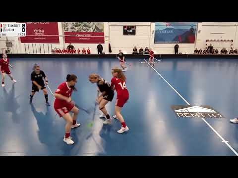 02.11.2024 Tiikerit - T16