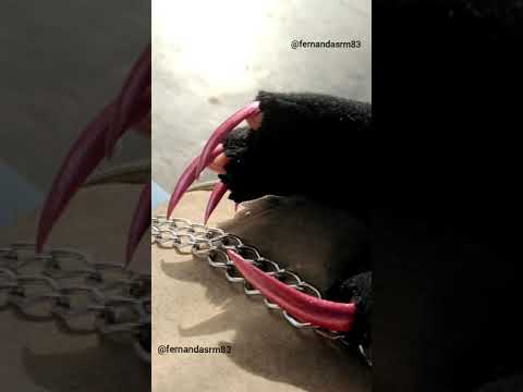 Gloves and natural claws by our pretty hand model Fernanda Ribeiro (october 2021)