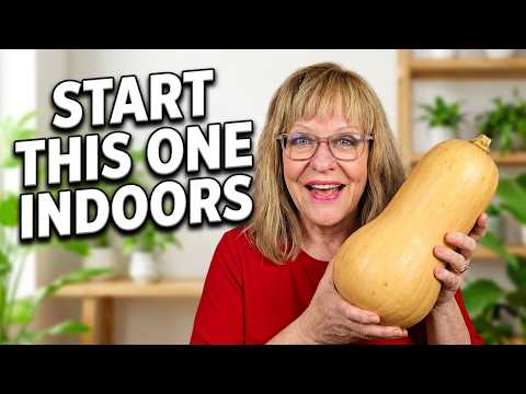 How to Grow Winter Squash in Zone 4 (Start to Harvest Guide)