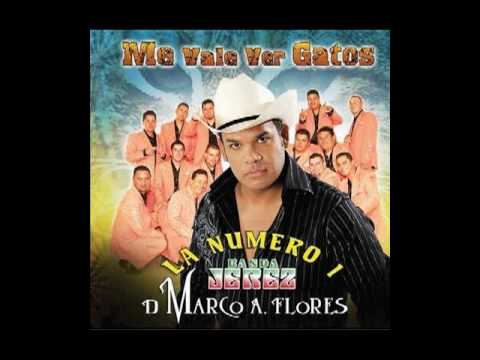 Me Vale Ver Gatos Bravos (Sin Cesura) - La Numero Uno Banda Jerez