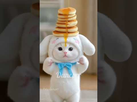 Dubi dubi dum dum, little cute cat dance 🤍🎶💕💕💕#cats #babylove #dubidubi #catslover #ai #babydance