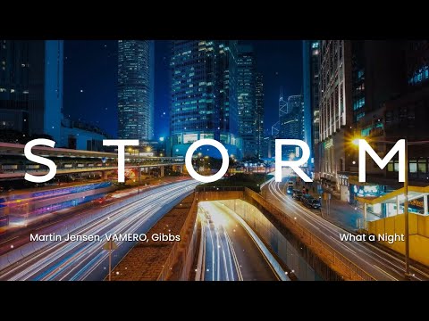 Martin Jensen, VAMERO, Gibbs - What a Night