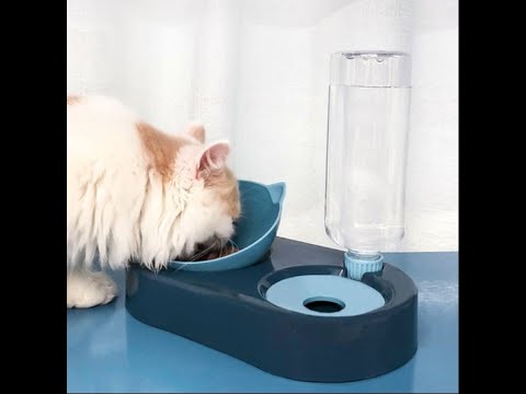 Learn about the benefits of using refillable cat bowls