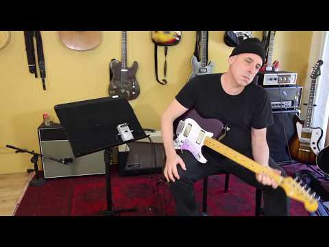 Joe Gore Porkolator Distortion Pedal image 2