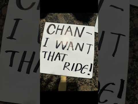 THATS MY COUSIN GUYSSSS! #skz #straykids #lollapalooza #chkchkboom #bangchan #fyp #funny #cute