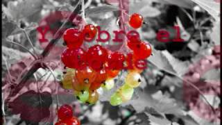 Wir sind helden - Du erkennst mich nicht wieder (subtitulos en español / subtitles spanish)