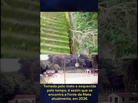 Denúncia em Boquim sobre fonte da mata: morador local filma e mostra triste situação