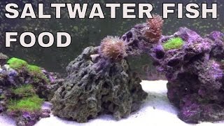 what I feed my saltwater fish daily : rotter tube reef