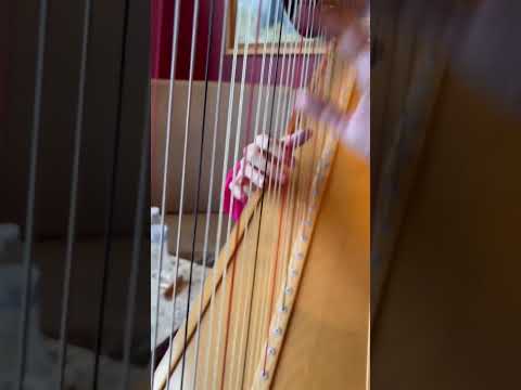 Promotional video thumbnail 2 for Harpist/Karolyn Witcher
