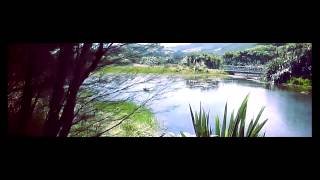 the thrill - carousel