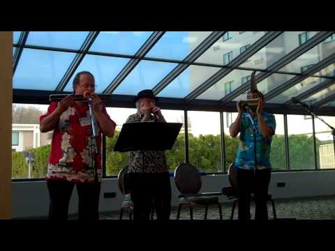 The Harmaniacs (harmonica trio)  Struttin' w/ Some BarBQ & surprises