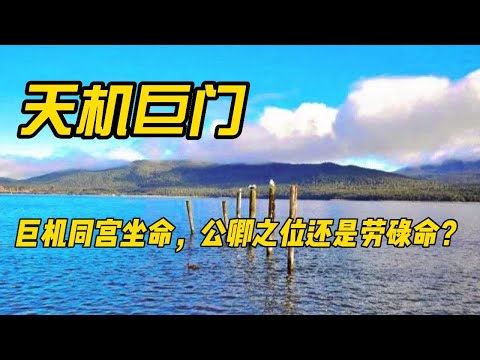 天機巨門在酉
