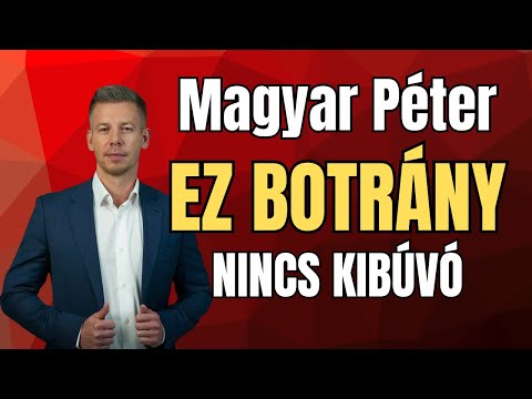 Magyar Péter: Azonnal fel kell függeszteni a fideszes képviselőt