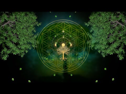 Connect With Tree Energy | Frequencies Of The Forest | Grounding Root Chakra