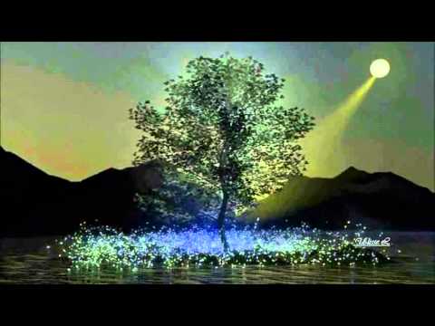 Waterbone - August Moon