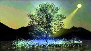 Waterbone - August Moon