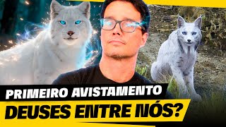 ANÚNCIO DO FIM! ANIMAL MÍSTICO É AVISTADO PELA 1⁰ VEZ NA HISTÓRIA