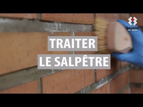 comment traiter mur salpetre