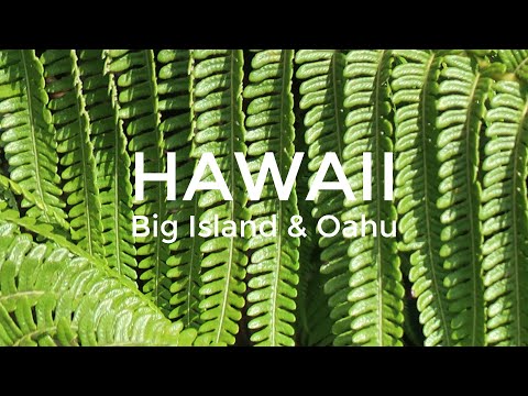 BEAUTIFUL HAWAII IMPRESSIONS (BIG ISLAND HAWAII & OAHU HAWAII - TRAVEL VLOG) | BREENA.ME