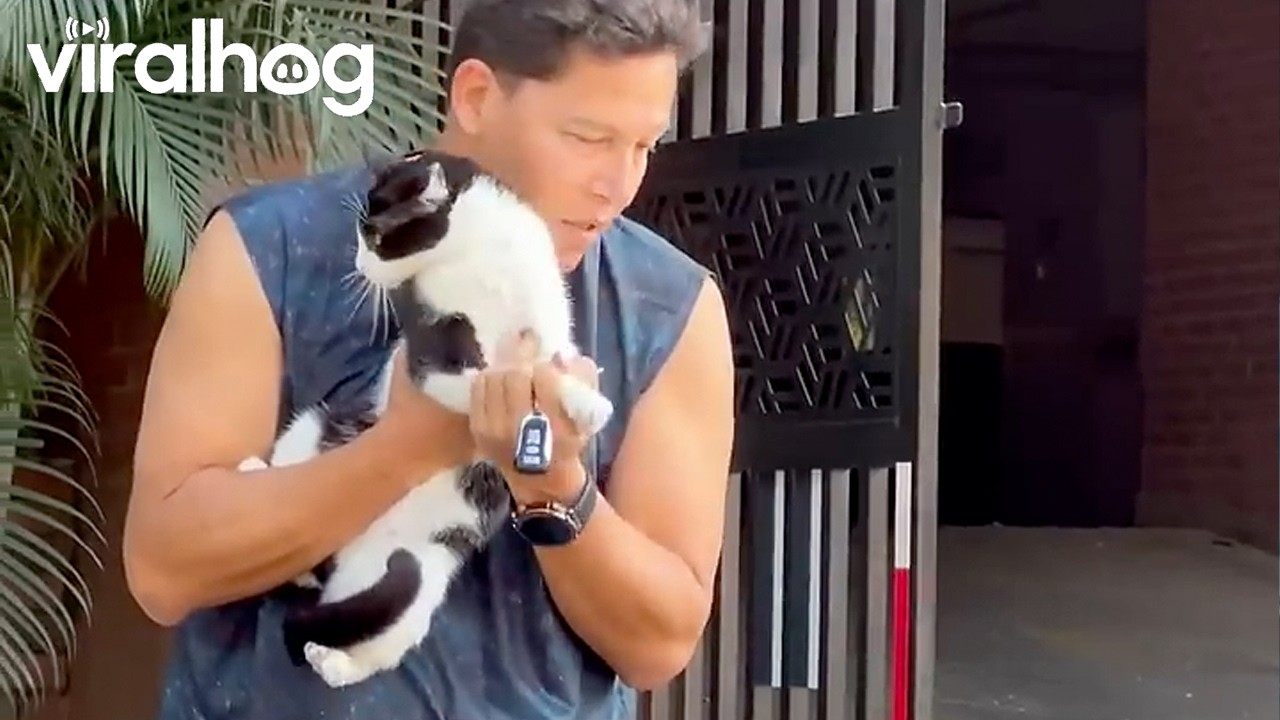 Amidst Destruction, Colombians Find Comfort in Their Pets || ViralHog