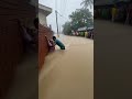 Sri Lanka Flood Heroic Rescue Of An Old Woman Real Footage