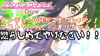 【プリンセスコネクトR攻略実況#20】ダンジョンVHボスをワンパンチャレンジ！🐕マコトちゃん、シオリちゃん、懲らしめてやりなさい🐕