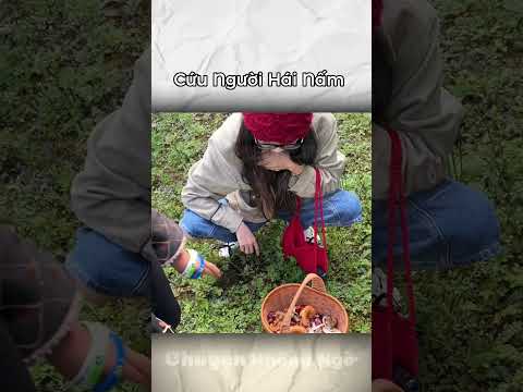 Cứu Người Hái Nấm