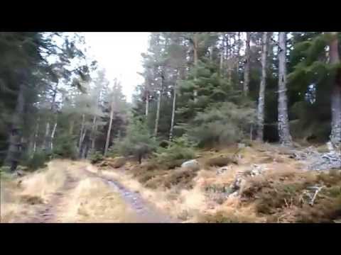 The RunBalmoral Wee Trail Race