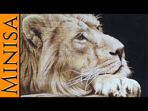 download lagu mp3 mp4 Woodburns, download mp3 Woodburns free downloadn, video klip Woodburns