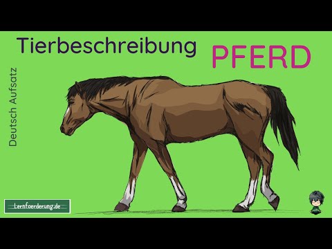 Animal description horse - example for the next class work