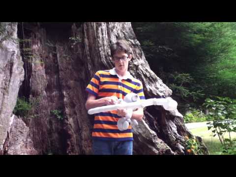 How to make a simple balloon Robot!